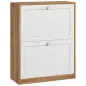 Zapatero Estrecho con 2 Puertas Estantes Ajustables para 12 Pares de Zapatos 60x24,5x75,5 cm Natural y Blanco