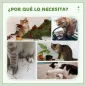 Árbol para Gatos