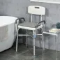 Silla Ducha Personas Mayores con Respaldo Reposabrazos Altura Ajustable Cojín Acolchado Extraíble Carga 136 kg Gris