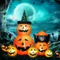 Calabaza Inflable de Halloween con Gato de 6 Pies con Luces LED IP44 e Inflador para Fiestas 160x100x180 cm Naranja