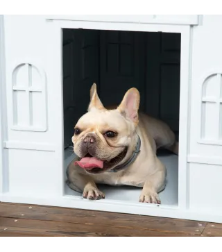 Caseta para Perros