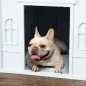 Caseta para Perros