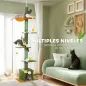 Árbol para Gatos