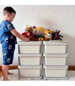 Organizador de Juguetes