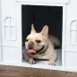 Casa para Perros con Imitación de Ventana y Tejas para Perros Medianos 65x75,7x63 cm Azul Verdoso y Blanco Casa para Perros con Imitación de Ventana y Tejas para Perros Medianos 65x75,7x63 cm Azul Verdoso y Blanco