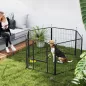 Parque para Perros Parque para Perros