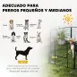 Parque para Perros Parque para Perros