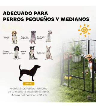 Parque para Perros