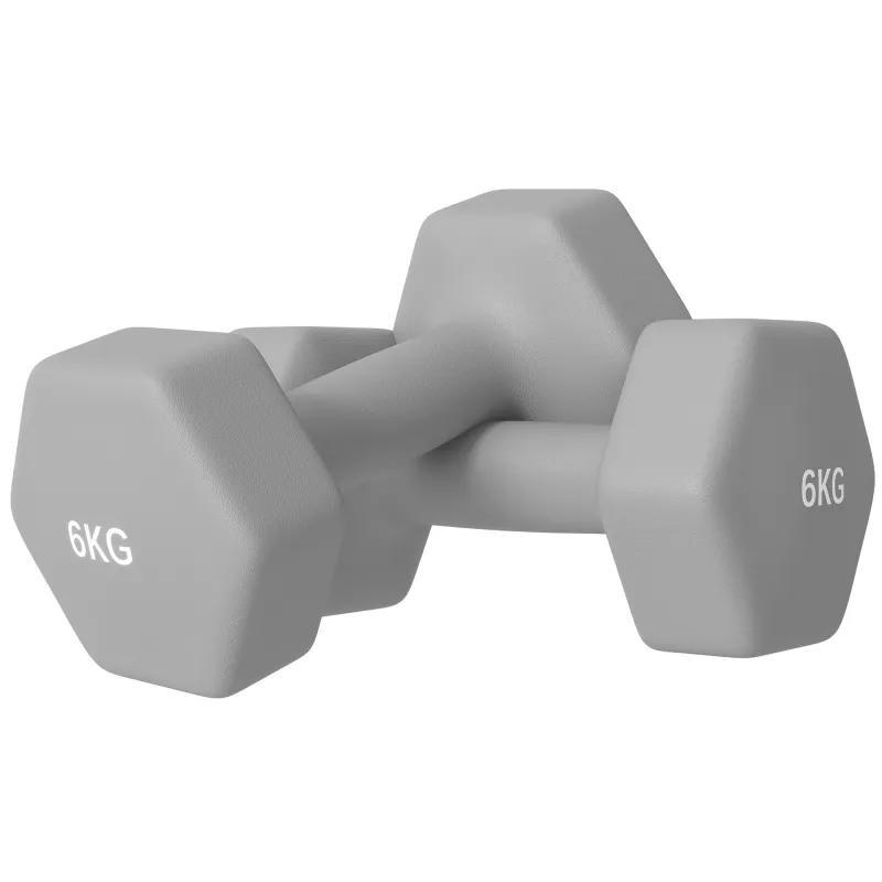 Juego de 2 Mancuernas Hexagonales de 2 x 6 kg de Metal Recubiertas en Plástico para Entrenamiento en Casa Gimnasio Gris