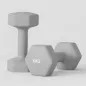 Juego de 2 Mancuernas Hexagonales de 2 x 6 kg de Metal Recubiertas en Plástico para Entrenamiento en Casa Gimnasio Gris