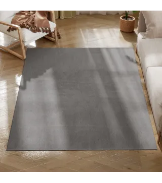 Alfombra de Salón