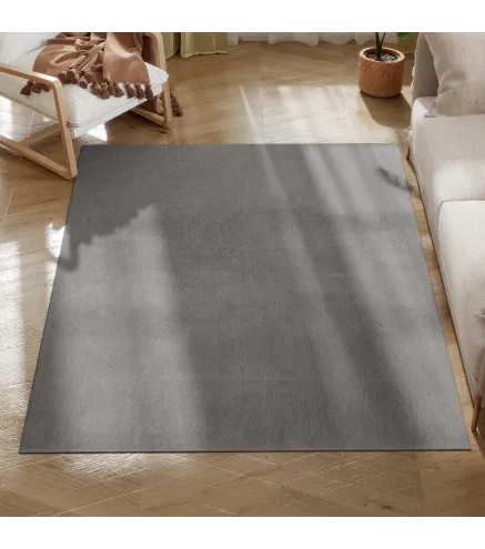 Alfombra de Salón