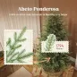 Árbol de Navidad Árbol de Navidad