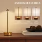 Juego de 2 Lámparas de Mesa LED Recargables con USB y Control Táctil y Luz Regulable Ø10x30 cm Dorado