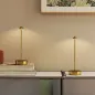 Juego de 2 Lámparas de Mesa LED Recargables con USB y Control Táctil y Luz Regulable Ø10x30 cm Dorado