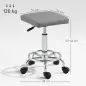Taburete Giratorio Ajustable Con Asiento Acolchado Reposapiés y Ruedas para Salones y Talleres 34x34x50-66 cm Gris