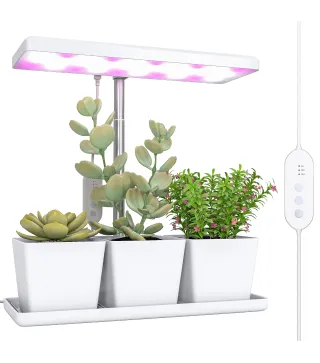 Luz Crecimiento Plantas