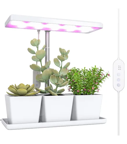 Luz Crecimiento Plantas