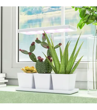 Luz Crecimiento Plantas