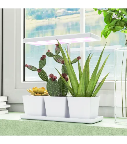 Luz Crecimiento Plantas