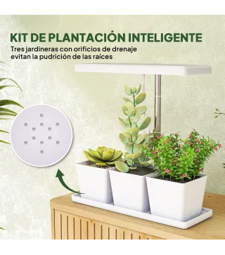 Luz Crecimiento Plantas