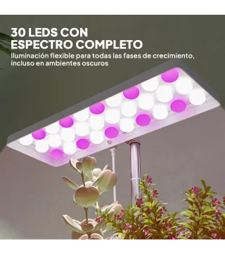 Luz Crecimiento Plantas