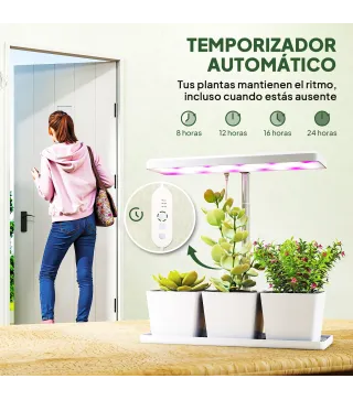 Luz Crecimiento Plantas