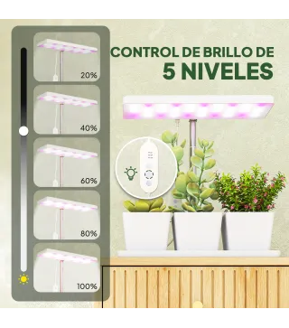 Luz Crecimiento Plantas