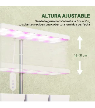 Luz Crecimiento Plantas