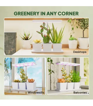 Luz Crecimiento Plantas