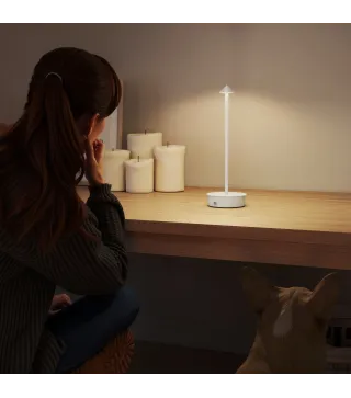 Lámparas de Mesa