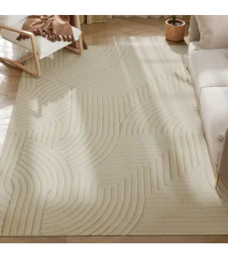 Alfombra para Salón