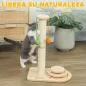 Rascador para Gatos