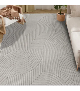Alfombra para Salón