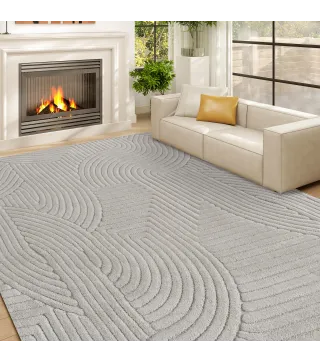 Alfombra para Salón