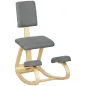 Silla de Rodillas Silla de Rodillas