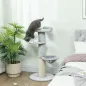 Árbol Rascador para Gatos 103,5 cm con Cama Hamaca Plataforma Poste de Sisal Grueso Bola Colgante Gris Claro Árbol Rascador para Gatos 103,5 cm con Cama Hamaca Plataforma Poste de Sisal Grueso Bola Colgante Gris Claro