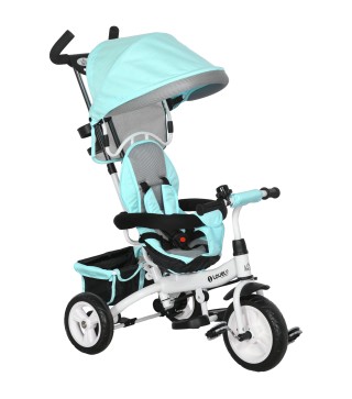 Triciclo Evolutivo