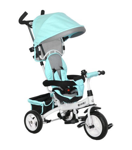 Triciclo Evolutivo