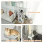 Árbol Rascador para Gatos 160 cm con Plataformas Cama 2 Cuevas Hamaca Escalera Postes de Sisal Gris Claro
