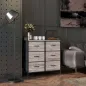 Cómoda con 6 Cajones Plegables Cajonera de Tela con Estructura de Acero Estilo Industrial 79x29x85 cm Gris