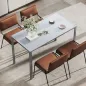 Mesa de Cocina de Cristal para 4-6 Personas con Patas de Metal Multifuncional para Cocina Salón 120x60x75 cm Gris