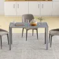 Mesa de Cocina de Cristal para 4-6 Personas con Patas de Metal Multifuncional para Cocina Salón 120x60x75 cm Gris