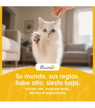 Casa para Gatos