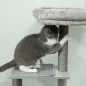Árbol para Gatos