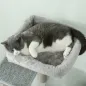 Árbol para Gatos
