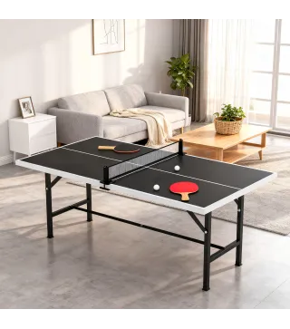 Mini Mesa Ping-Pong