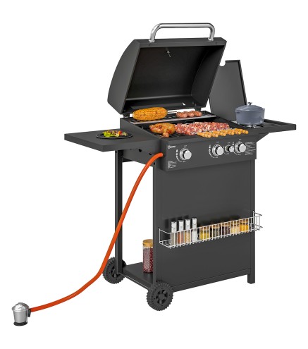 Barbacoa de Gas
