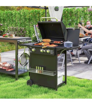 Barbacoa de Gas