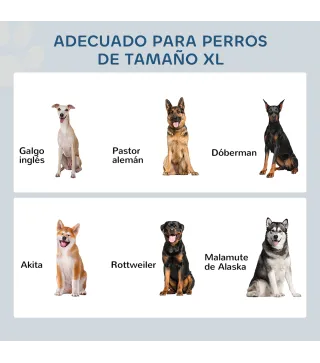 Comedero para Perros